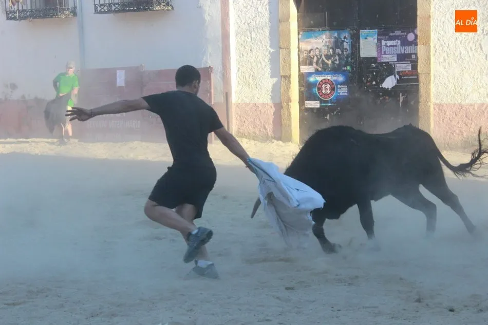 Foto 10 - Entretenida capea en Yecla de Yeltes con motivo de las fiestas de la Virgen del Castillo  