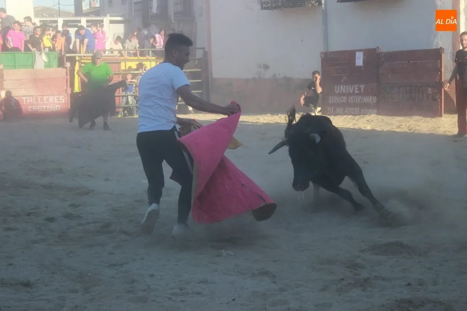 Foto 9 - Entretenida capea en Yecla de Yeltes con motivo de las fiestas de la Virgen del Castillo  