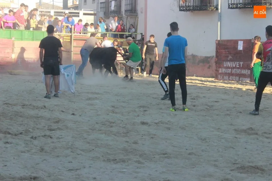 Foto 7 - Entretenida capea en Yecla de Yeltes con motivo de las fiestas de la Virgen del Castillo  