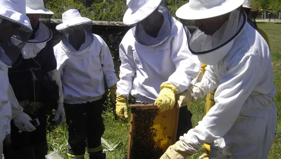 Jornadas para emprendedores en el mundo rural
