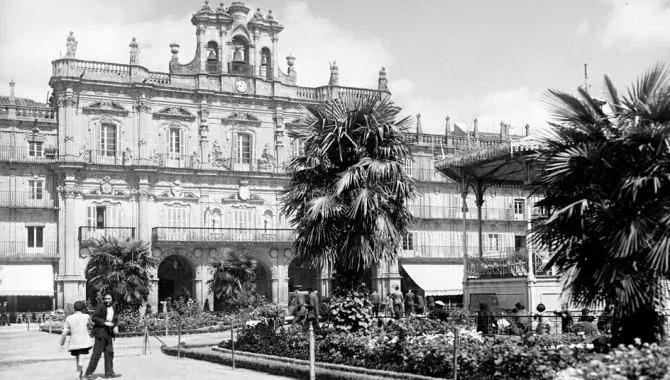 Palmeras en la Plaza  