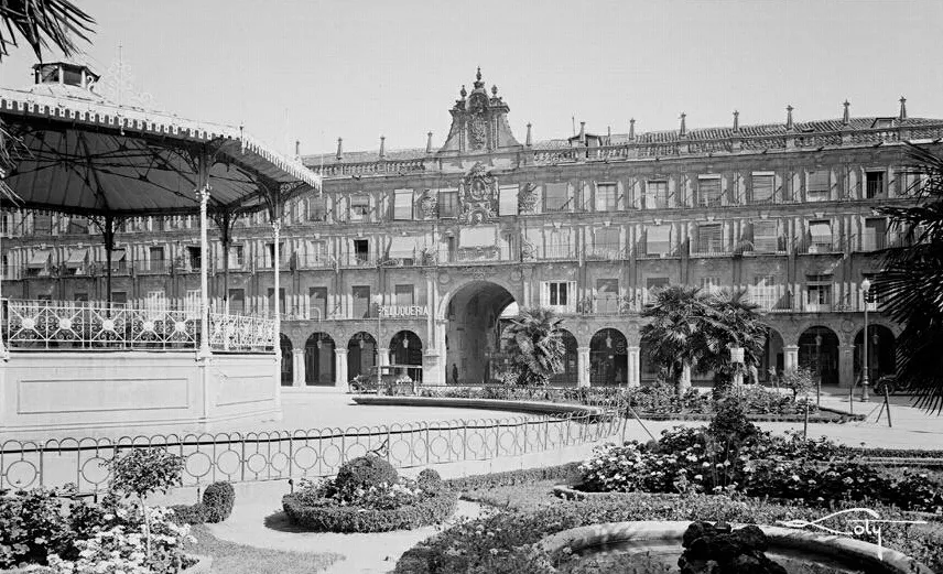 Foto 3 - Palmeras en la Plaza  