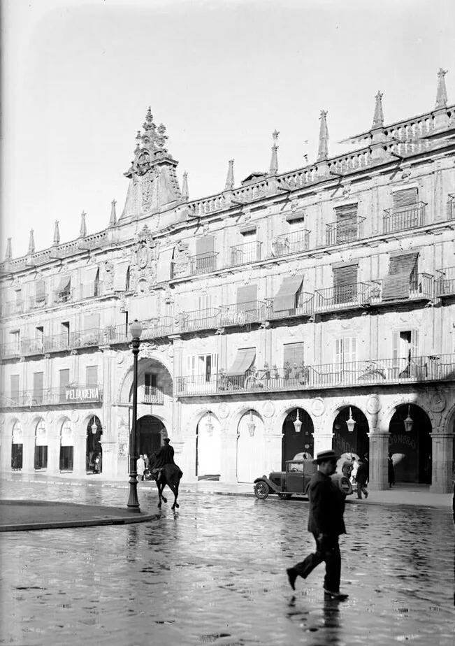 Foto 2 - Palmeras en la Plaza  