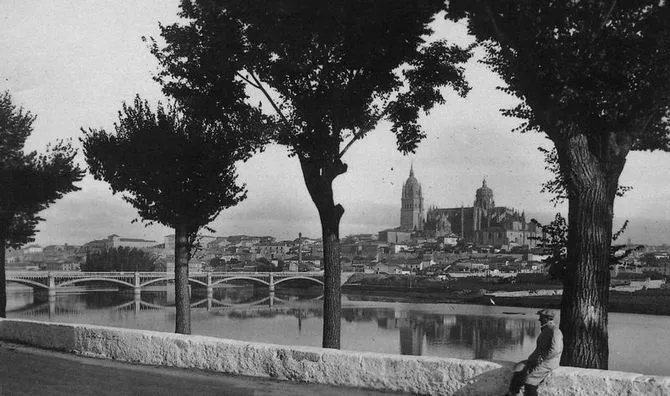 Foto 2 - Salamanca y su famoso perfil