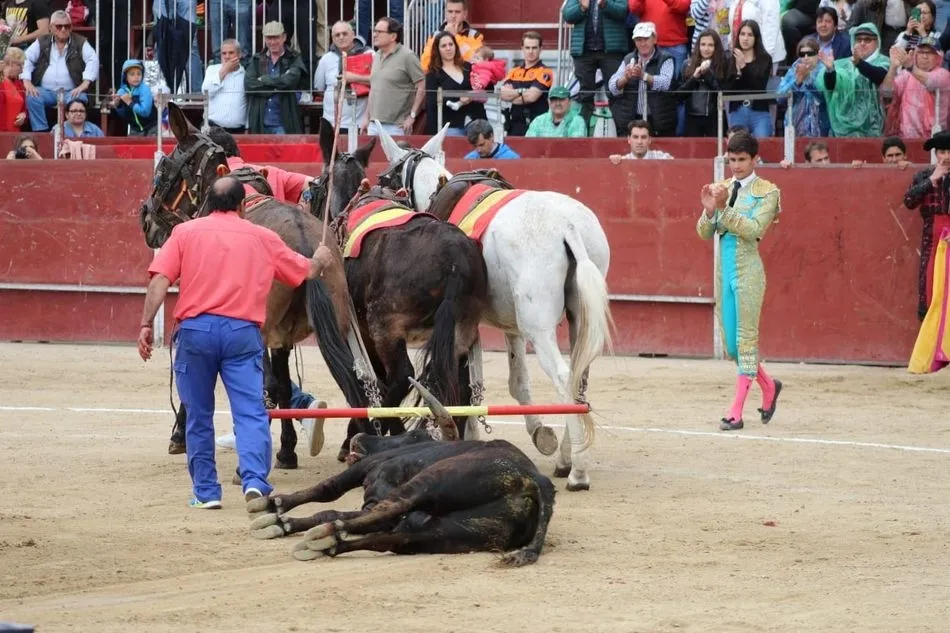 Foto 2 - Manuel Diosleguarde triunfa con un encierro de Cuvillo en Las Matas  