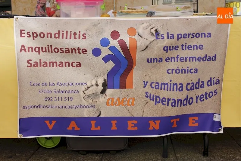 Foto 2 - La Asociaci&oacute;n de Espondilitis ASEA da a conocer esta patolog&iacute;a con motivo del D&iacute;a Mundial de la...