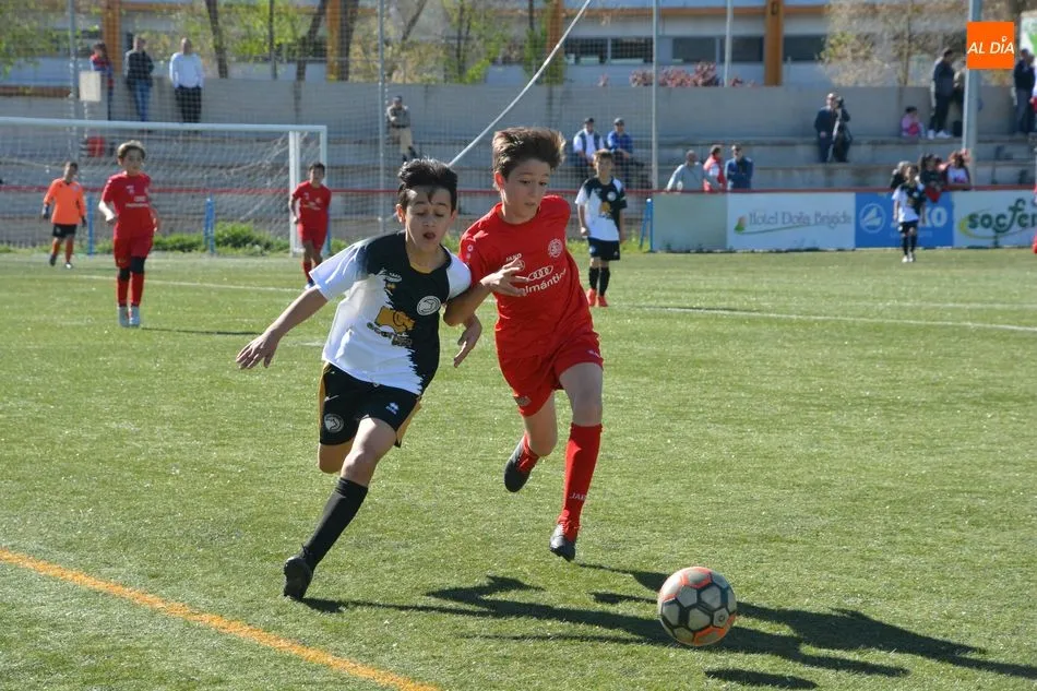 Foto 5 - Resultados, clasificaciones e im&aacute;genes del f&uacute;tbol base provincial