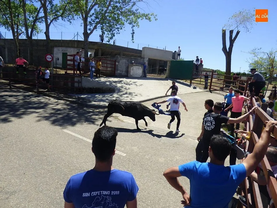 Foto 5 - Las calles de El Bod&oacute;n acogen un limpio y entretenido encierro urbano  