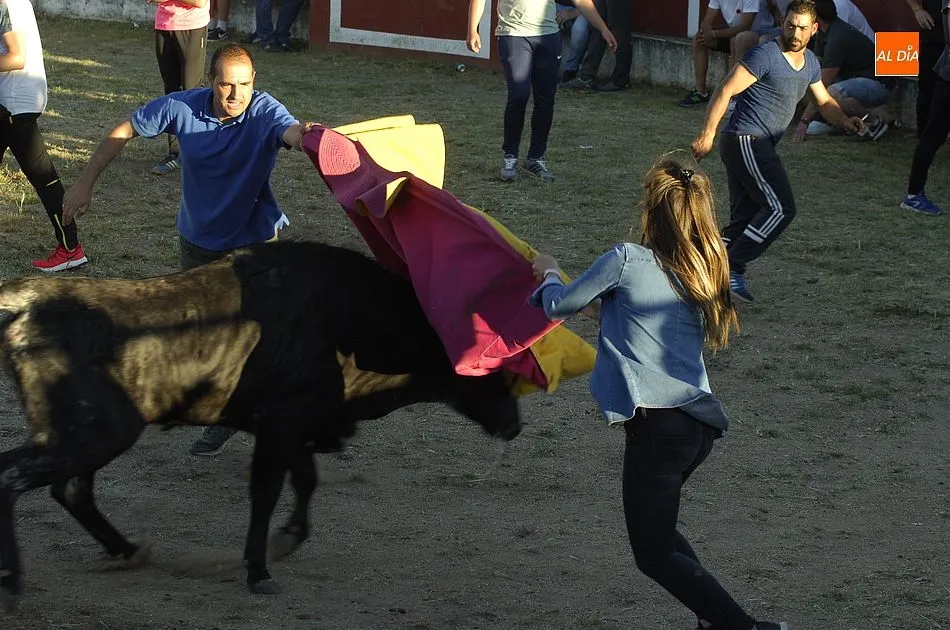 Foto 6 - Gran valent&iacute;a entre los j&oacute;venes a la hora de medirse a las reses en Saelices  
