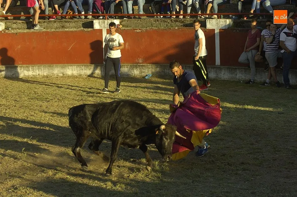 Foto 4 - Gran valent&iacute;a entre los j&oacute;venes a la hora de medirse a las reses en Saelices  
