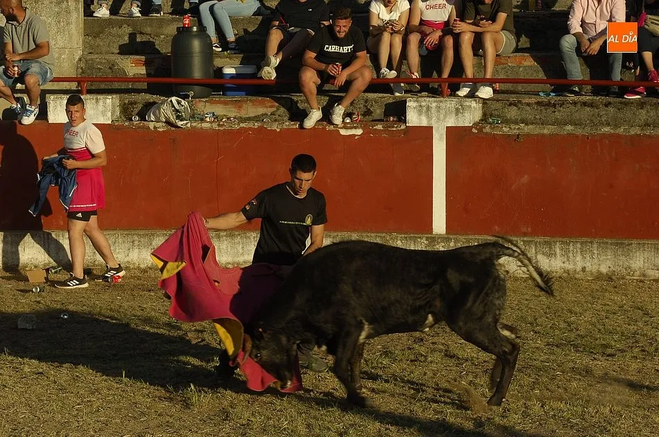 Foto 3 - Gran valent&iacute;a entre los j&oacute;venes a la hora de medirse a las reses en Saelices  