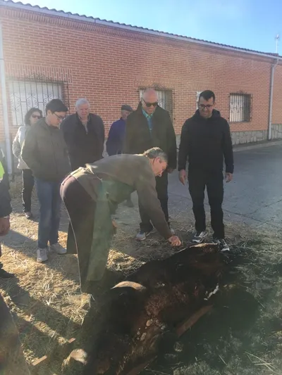 Foto 7 - Cantaracillo celebra su IV matanza t&iacute;pica