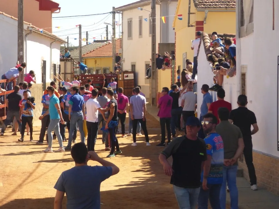 Foto 9 - Los actos taurinos de Bocacara dejaron un joven corneado  