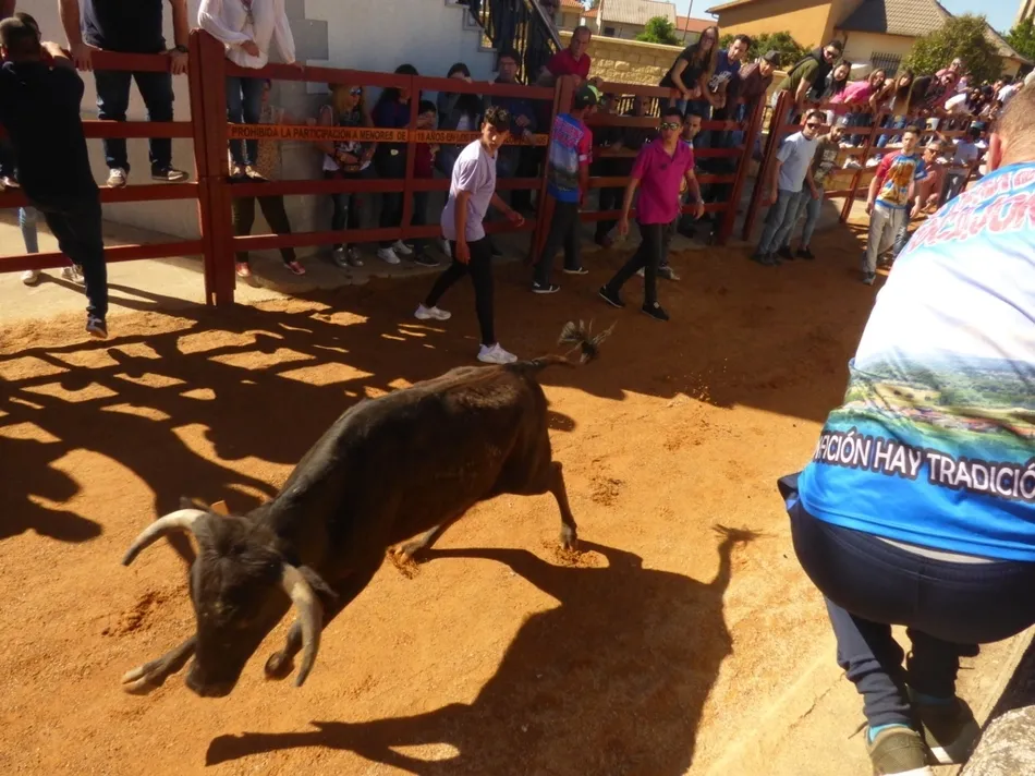 Foto 8 - Los actos taurinos de Bocacara dejaron un joven corneado  