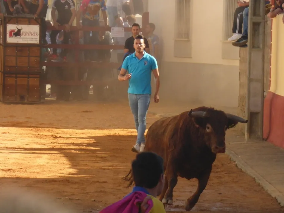 Foto 3 - Los actos taurinos de Bocacara dejaron un joven corneado  