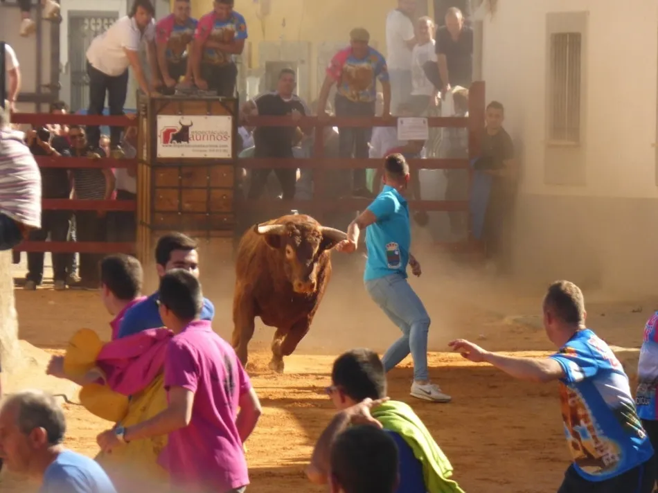 Foto 4 - Los actos taurinos de Bocacara dejaron un joven corneado  