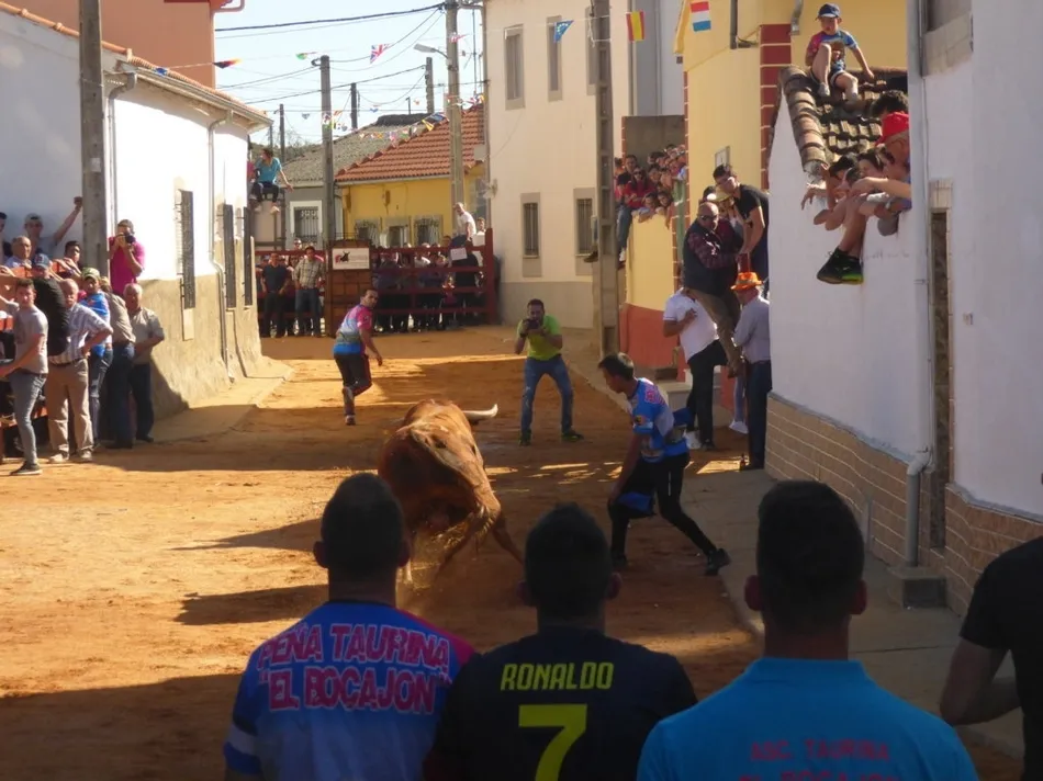 Foto 2 - Los actos taurinos de Bocacara dejaron un joven corneado  