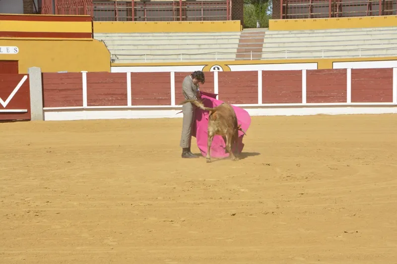 Foto 11 - El valenciano Jorge San Jos&eacute;, triunfador de un disputado X Bols&iacute;n Taurino de Pe&ntilde;aranda