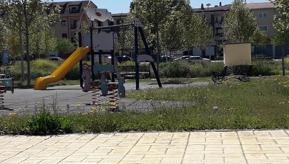 Foto 3 - El PP insiste en la falta de mantenimiento de los parques y jardines  