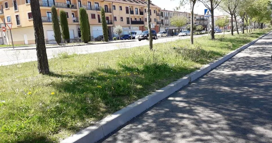 Foto 2 - El PP insiste en la falta de mantenimiento de los parques y jardines  
