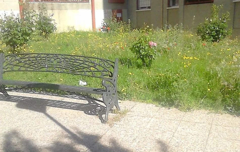 Foto 5 - El PP insiste en la falta de mantenimiento de los parques y jardines  
