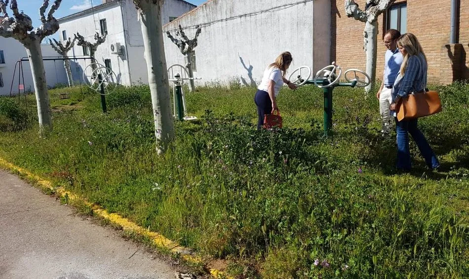Foto 6 - El PP insiste en la falta de mantenimiento de los parques y jardines  