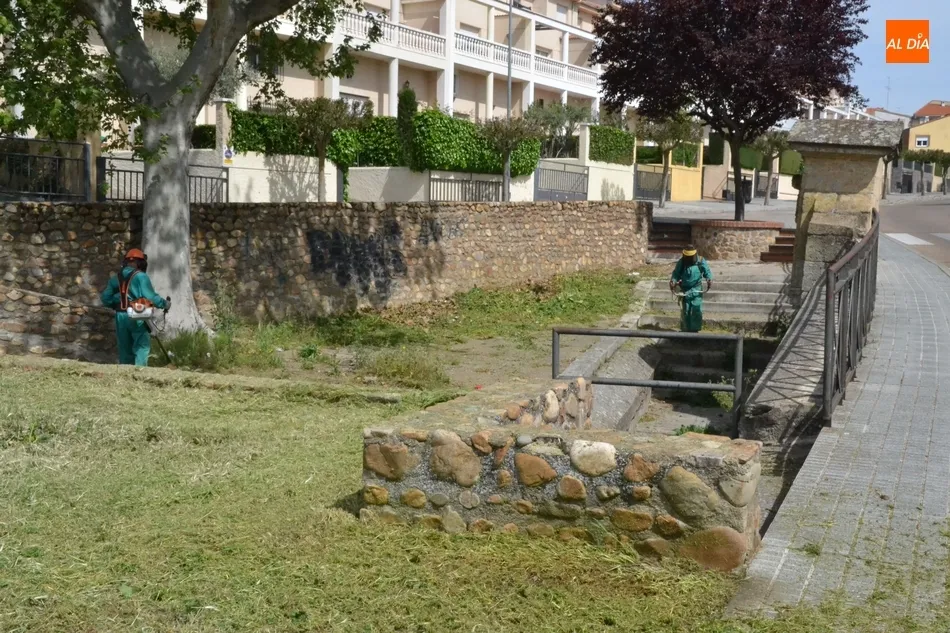 Foto 2 - Primeros trabajos sobre el terreno para la construcci&oacute;n de una pista de skate  