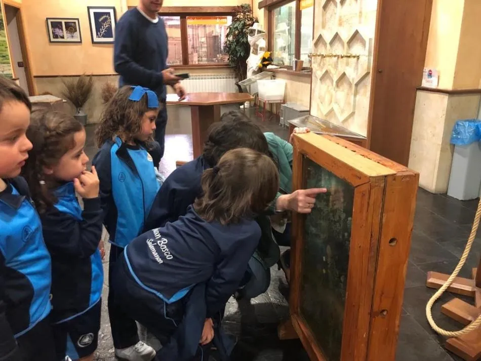 Foto 7 - Alumnos del Colegio San Juan Bosco visitan el&nbsp;Museo&nbsp;de Apicultura de Arapiles&nbsp;