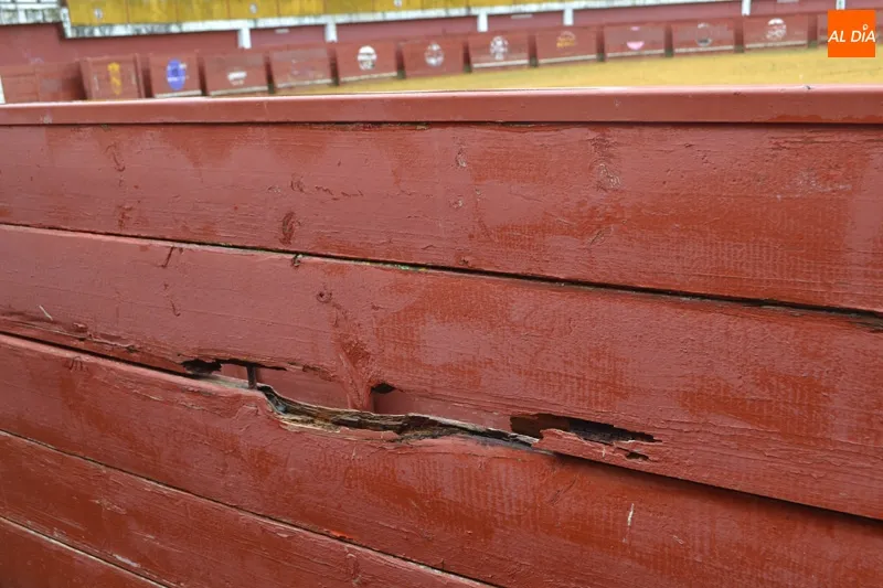 Foto 5 - Preocupaci&oacute;n ante el alarmante estado que presenta la plaza de toros de Macotera