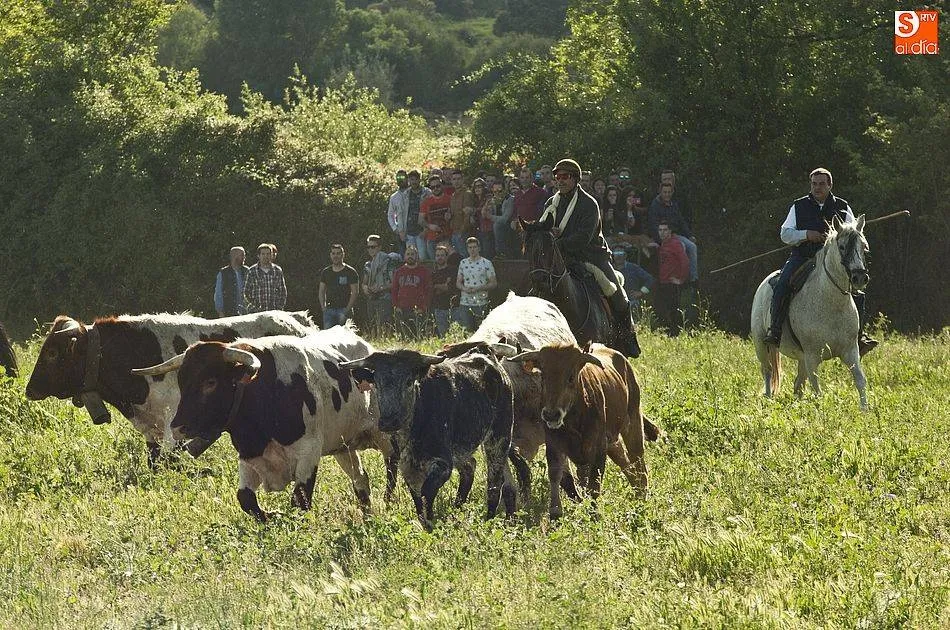Imagen del encierro a caballo del año pasado | Foto: Adrián Martín