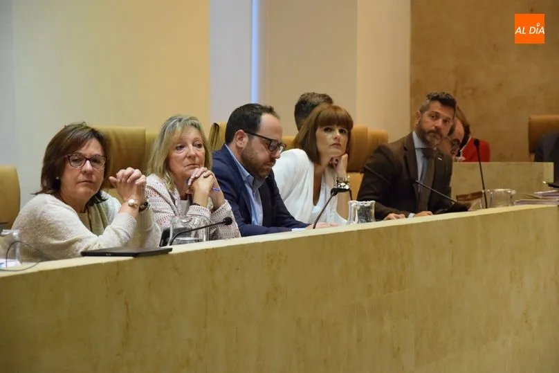 Foto 6 - El&nbsp;reglamento de Participaci&oacute;n Ciudadana sale adelante tras un intenso debate en el &uacute;ltimo pleno ...