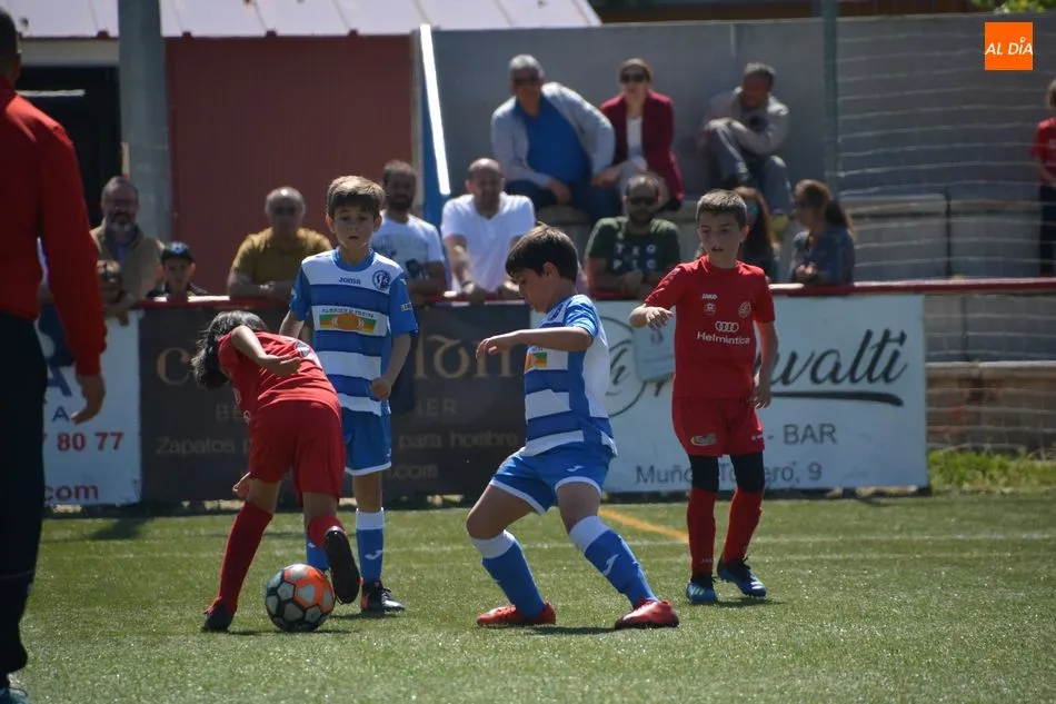 Foto 2 - Resultados, clasificaciones e im&aacute;genes del f&uacute;tbol base provincial