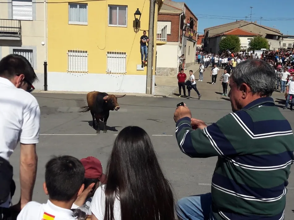 Foto 10 - Multitudinario Toro de San Isidro en Cantalpino