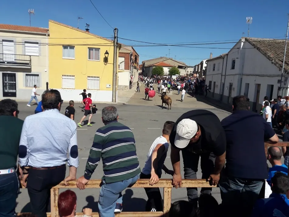 Foto 6 - Multitudinario Toro de San Isidro en Cantalpino