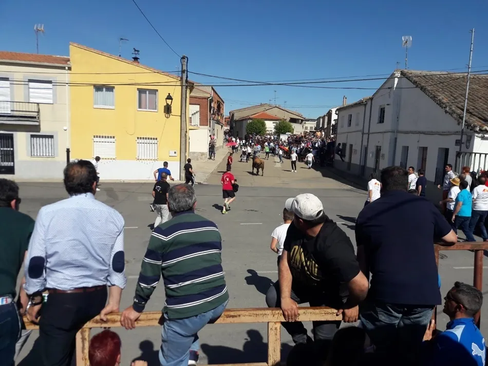 Foto 4 - Multitudinario Toro de San Isidro en Cantalpino