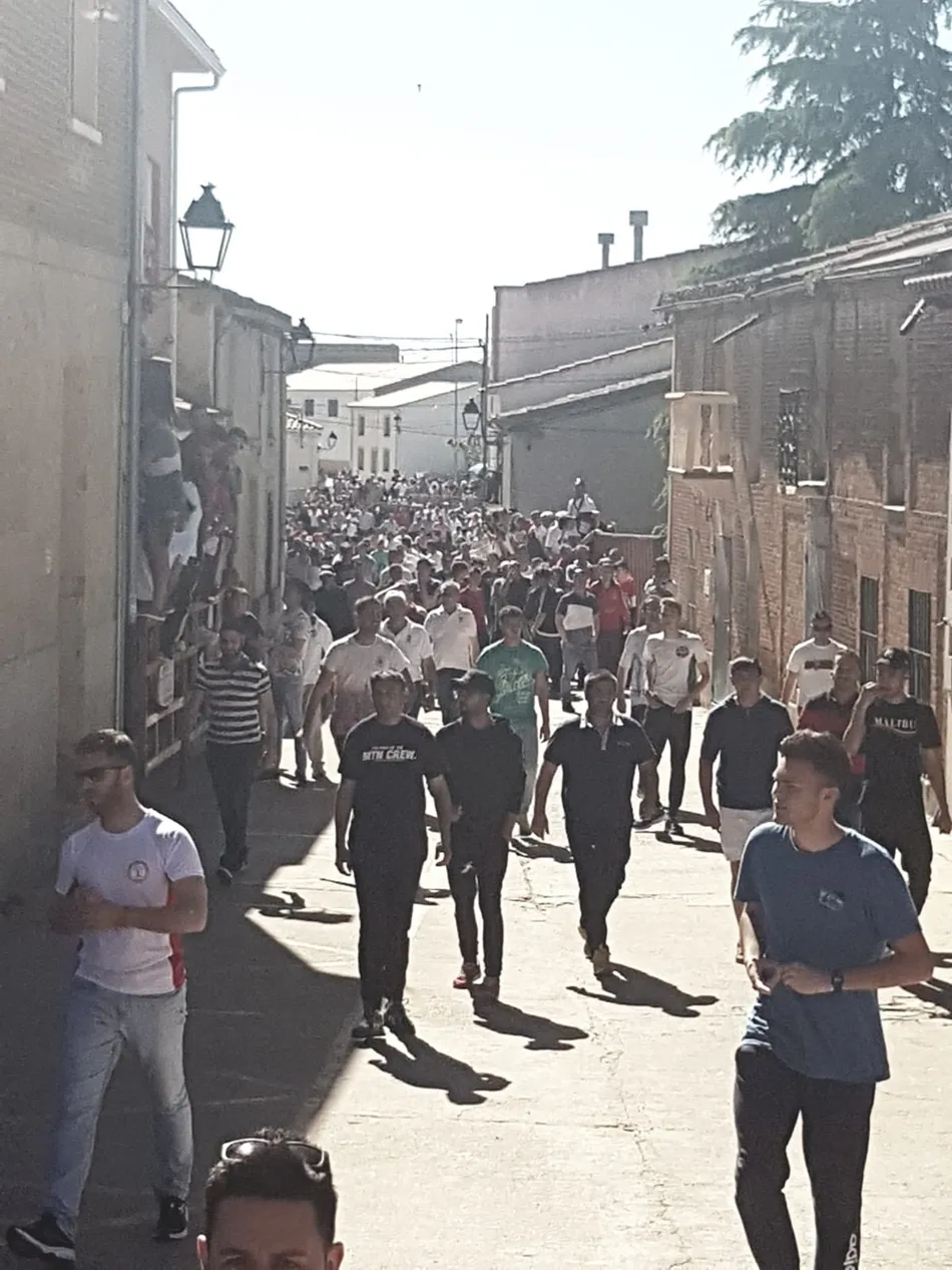Foto 3 - Multitudinario Toro de San Isidro en Cantalpino