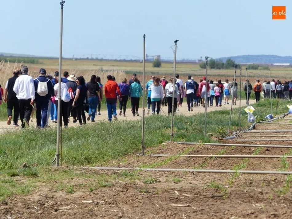 Foto 11 - Vecinos de Las Villas se vuelcan con su 29&ordf; Marcha de la Solidaridad&nbsp;