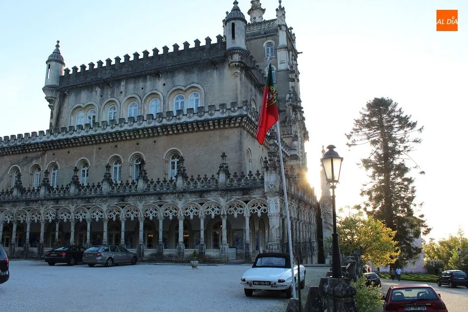Foto 9 - Mata Nacional de Bu&ccedil;aco, exuberancia en el recogimiento  