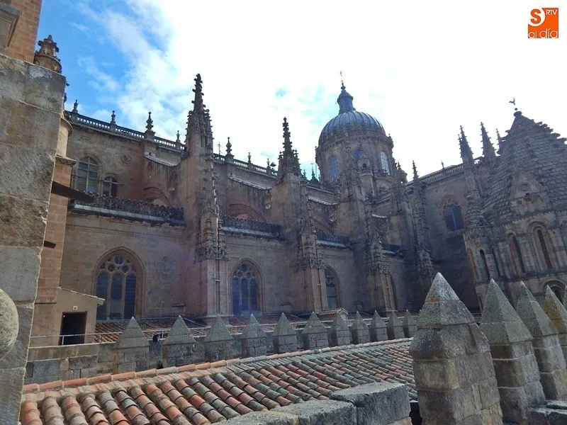 Foto 2 - Salamanca celebrar&aacute; el &lsquo;D&iacute;a de los Museos&rsquo; con puertas abiertas, visitas guiadas, m&uacute;sica y...