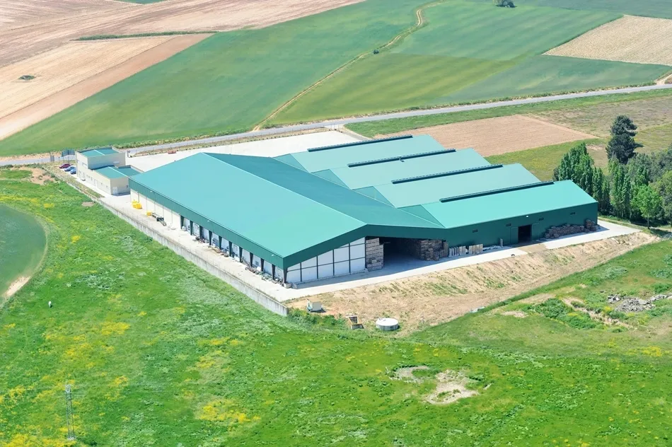 Aranpino, referente del sector de la patata