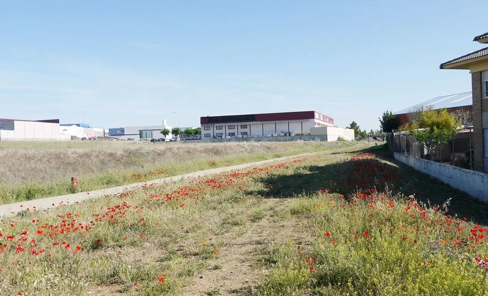 Foto 2 - El Ayuntamiento de Carbajosa crear&aacute; un jard&iacute;n urbano en la margen izquierda de la V&iacute;a Verde