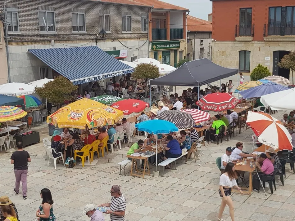Foto 8 - Cantalpino celebra el d&iacute;a de San Isidro