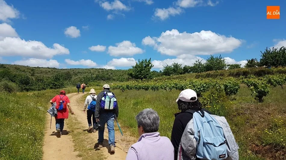 Foto 3 - M&aacute;s de un centenar de personas disfrutan de la Ruta de los Frutos de la Tierra