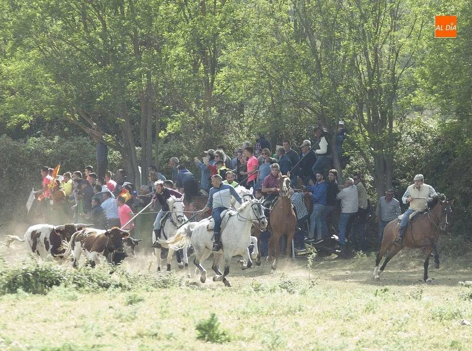 En pleno encierro | Fotos: Adrián Martín
