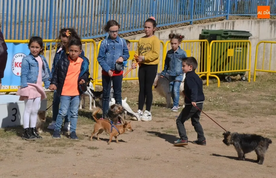 Una veintena de perros compite por ser la mejor mascota  