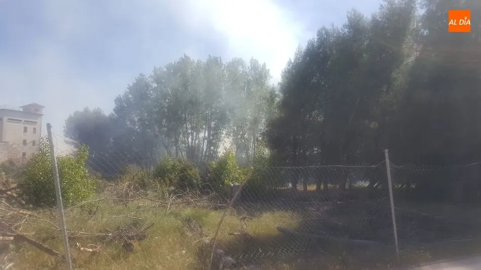 Foto 6 - Declarado un incendio en la antigua granja de gallinas de Villamayor