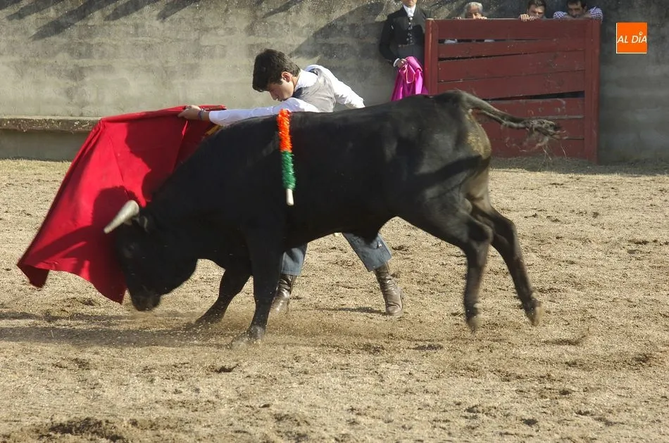 Foto 10 - R&aacute;pido y espl&eacute;ndido encierro a caballo en Carpio de Azaba con cientos de espectadores  