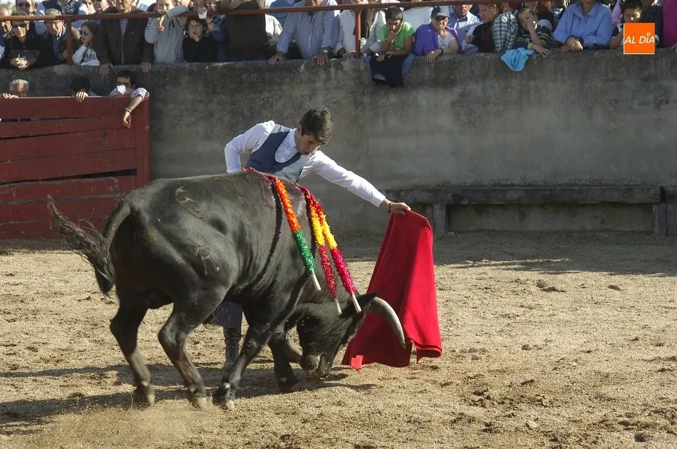 Foto 9 - R&aacute;pido y espl&eacute;ndido encierro a caballo en Carpio de Azaba con cientos de espectadores  