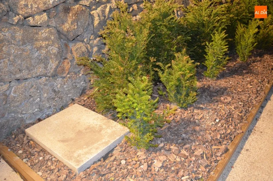 Foto 5 - Un jard&iacute;n contempor&aacute;neo en la villa renacentista de El Bosque de B&eacute;jar  