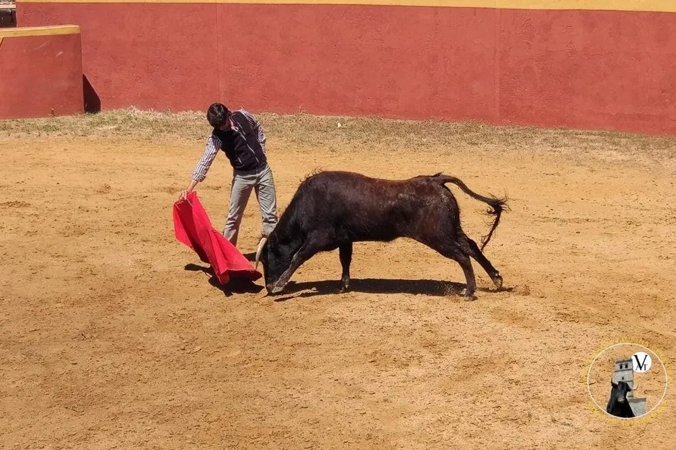 Foto 4 - La Asociaci&oacute;n Taurina Villa de Vitigudino disfruta del campo con las ganader&iacute;as de Valrubio y...